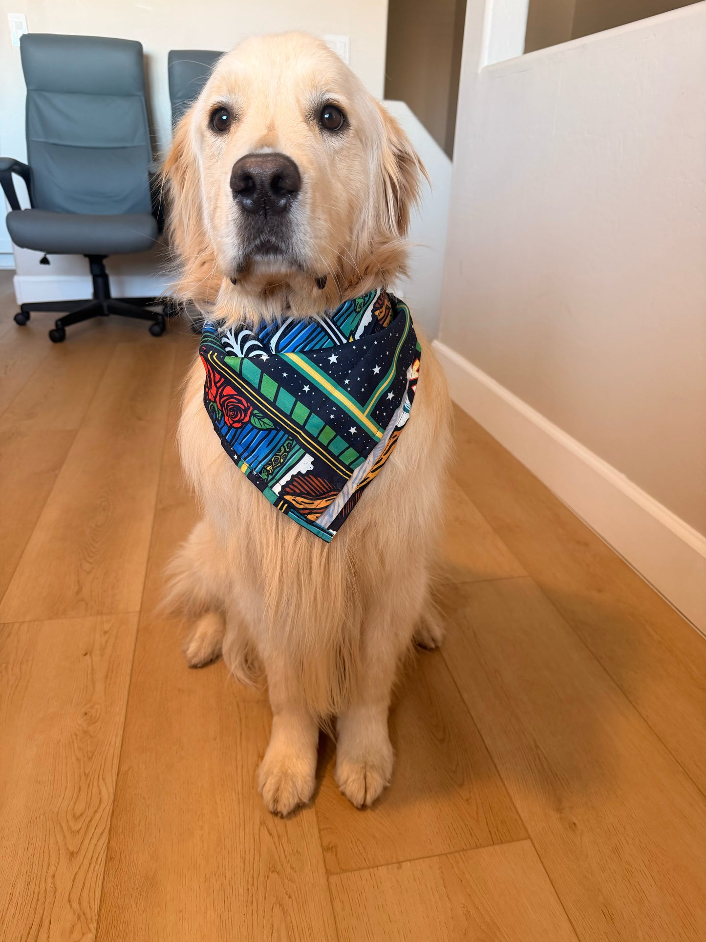 Eyes of the Algarve Bandana